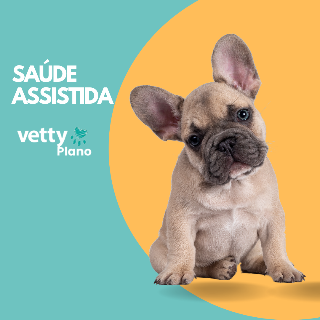 plano-sa-de-assistida-vetty-plano